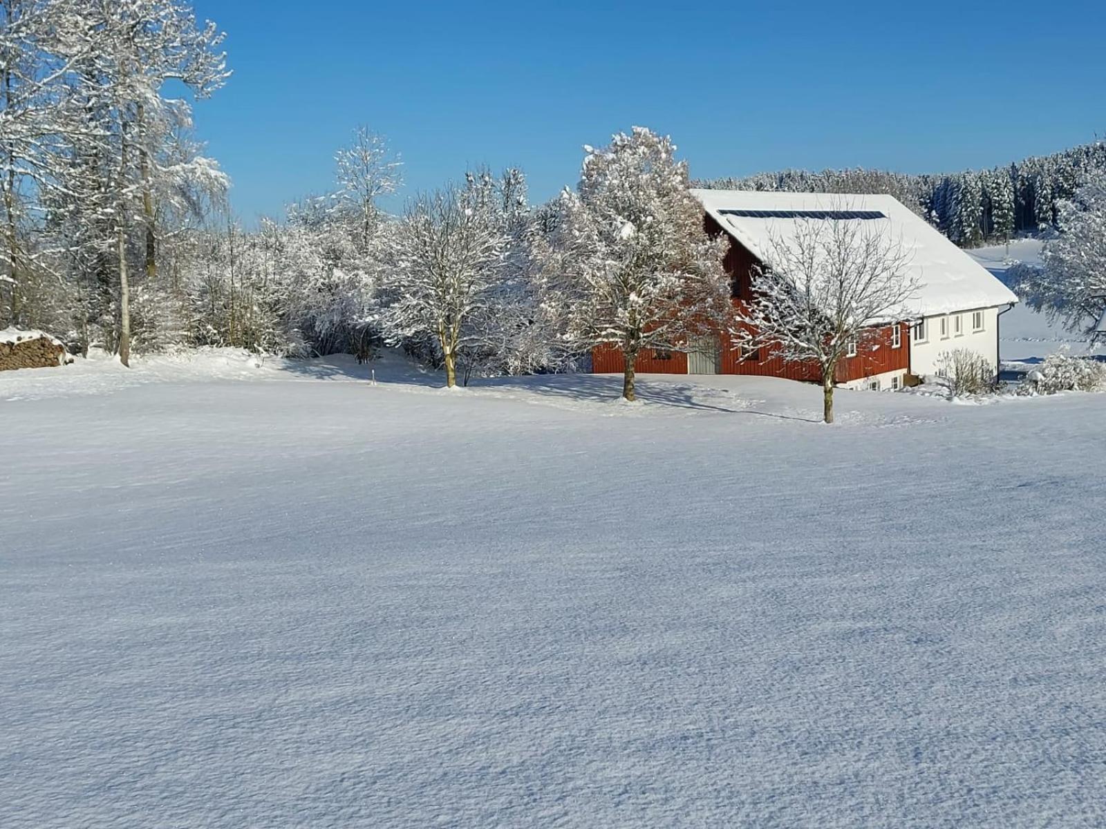 Allgaeu Bergblick Leutkirch im Allgau Exterior photo